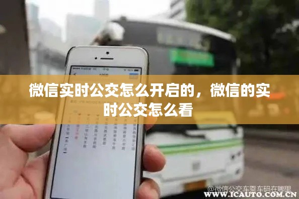 微信实时公交怎么开启的，微信的实时公交怎么看 
