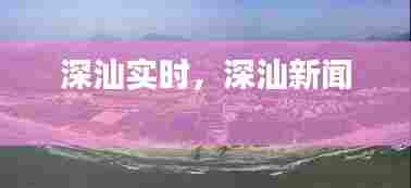 深汕实时,深汕新闻