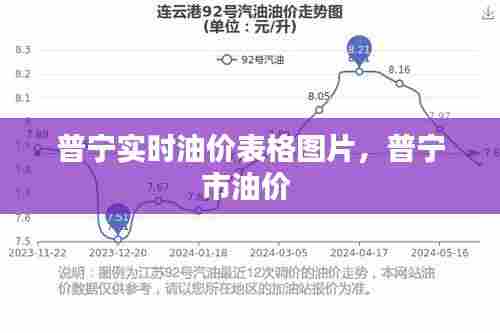 普宁实时油价表格图片,普宁市油价