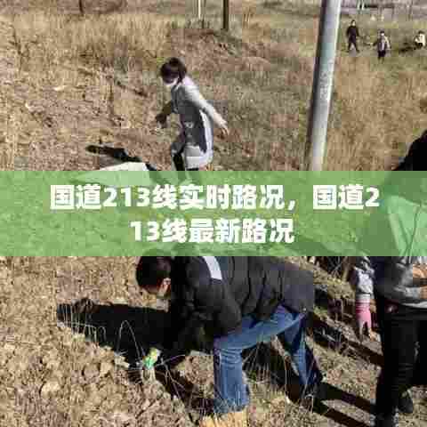 国道213线实时路况,国道213线最新路况