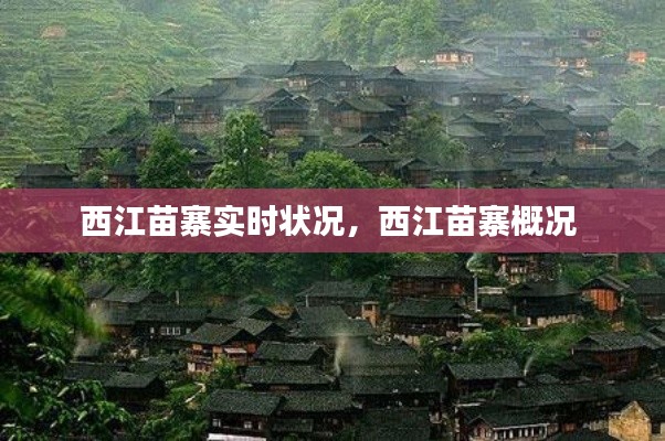 西江苗寨实时状况，西江苗寨概况 