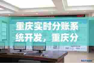 重庆实时分账系统开发，重庆分时科技有限公司 