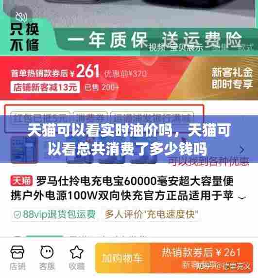 天猫可以看实时油价吗,天猫可以看总共消费了多少钱吗