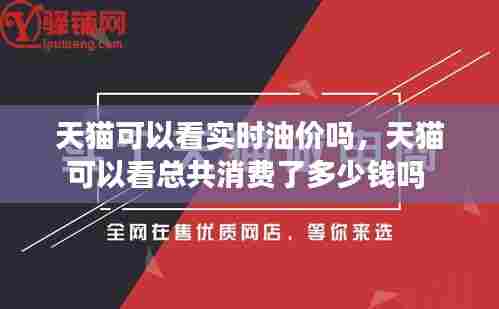 天猫可以看实时油价吗,天猫可以看总共消费了多少钱吗