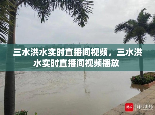 三水洪水实时直播间视频，三水洪水实时直播间视频播放 