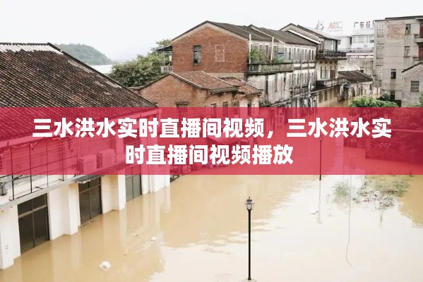 三水洪水实时直播间视频,三水洪水实时直播间视频播放