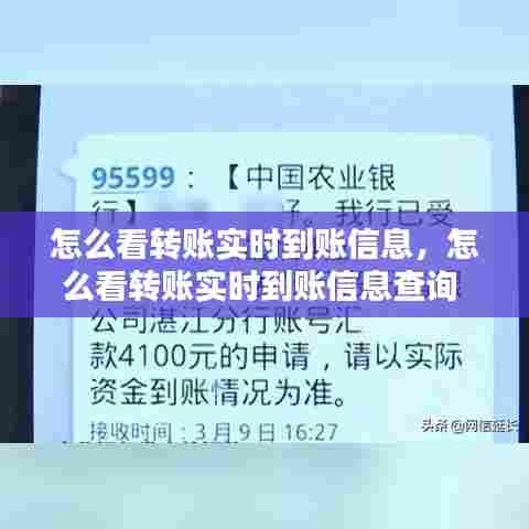 怎么看转账实时到账信息,怎么看转账实时到账信息查询