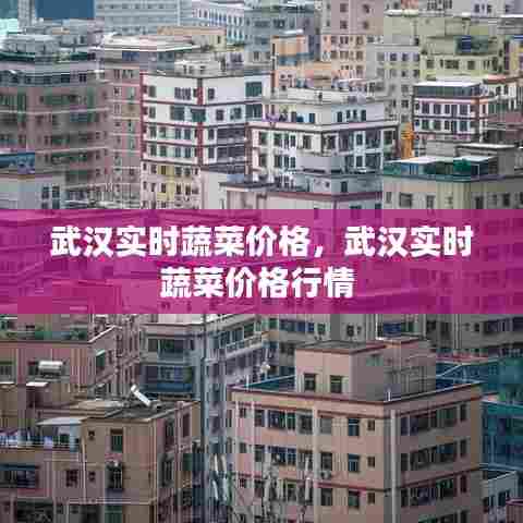 武汉实时蔬菜价格,武汉实时蔬菜价格行情