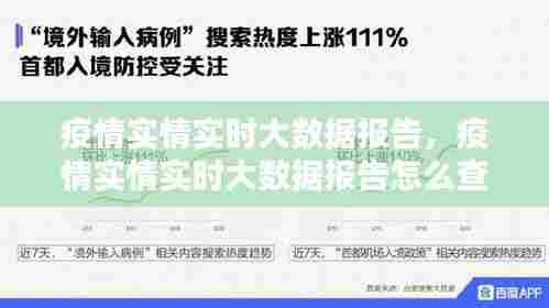 疫情实情实时大数据报告,疫情实情实时大数据报告怎么查