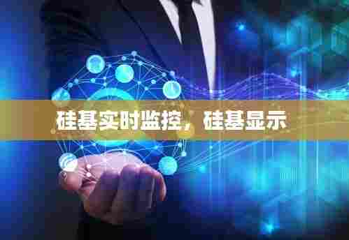 硅基实时监控,硅基显示
