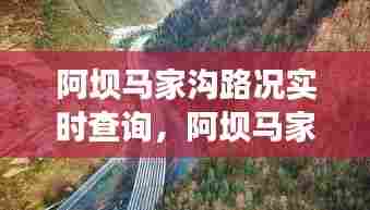阿坝马家沟路况实时查询,阿坝马家沟路况实时查询最新消息