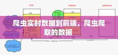 爬虫实时数据到前端，爬虫爬取的数据 