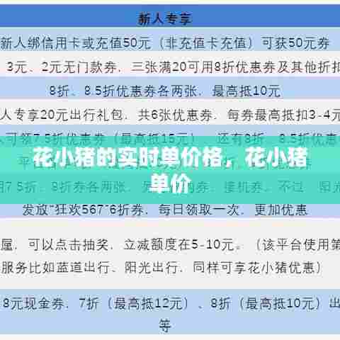 花小猪的实时单价格，花小猪 单价 