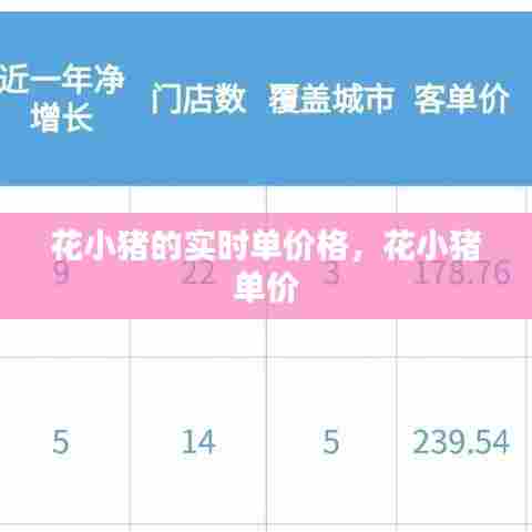花小猪的实时单价格,花小猪 单价