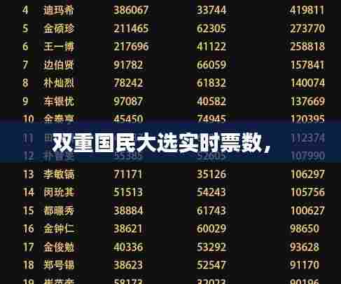 双重国民大选实时票数,