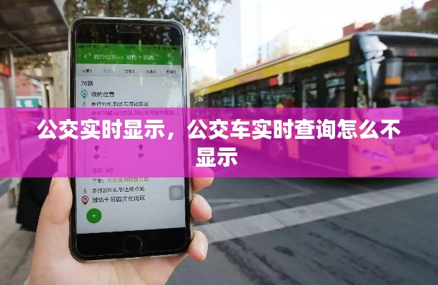 公交实时显示，公交车实时查询怎么不显示 