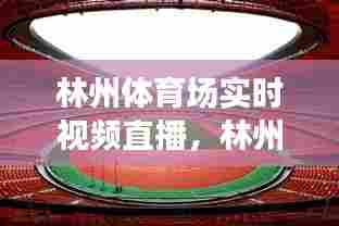 林州体育场实时视频直播，林州体育场演唱会 