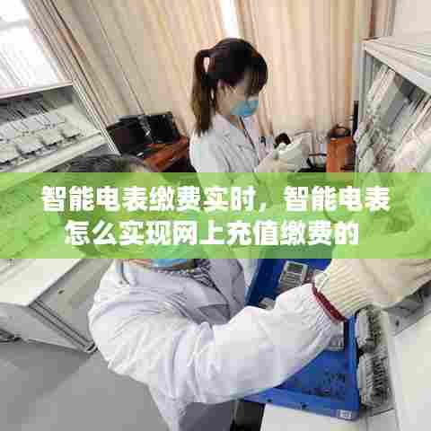 智能电表缴费实时,智能电表怎么实现网上充值缴费的