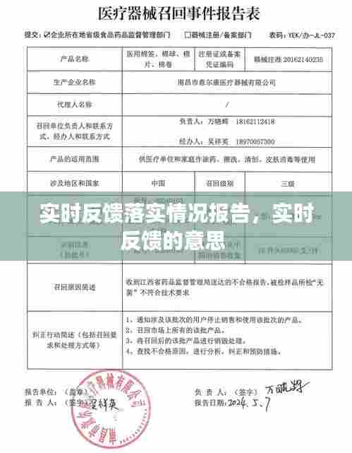 实时反馈落实情况报告,实时反馈的意思