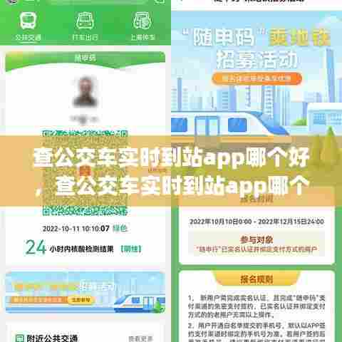 查公交车实时到站app哪个好，查公交车实时到站app哪个好用 