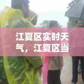 江夏区实时天气，江夏区当前天气 