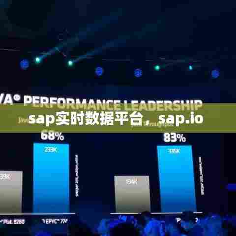 sap实时数据平台,sap.io
