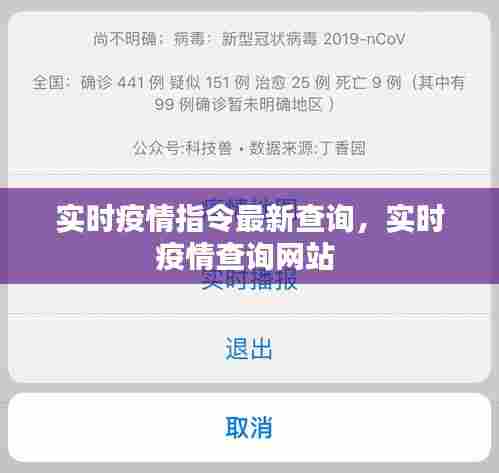 实时疫情指令最新查询，实时疫情查询网站 