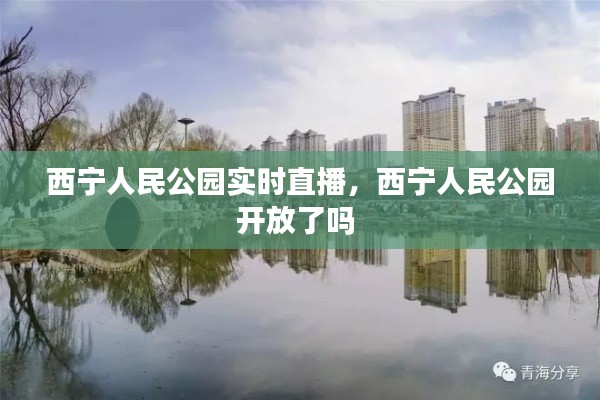 西宁人民公园实时直播,西宁人民公园开放了吗