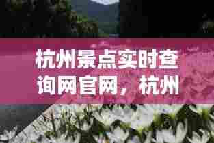 杭州景点实时查询网官网,杭州景区官网