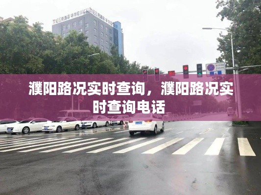 濮阳路况实时查询,濮阳路况实时查询电话