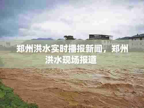 郑州洪水实时播报新闻,郑州洪水现场报道