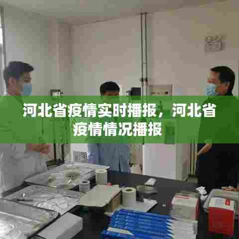 河北省疫情实时播报,河北省疫情情况播报