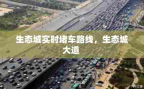 生态城实时堵车路线,生态城大道