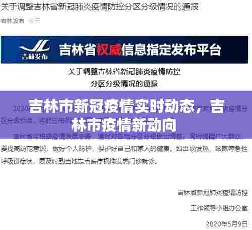 吉林市新冠疫情实时动态,吉林市疫情新动向