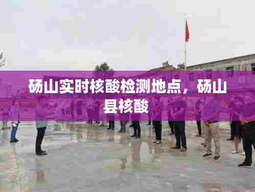 砀山实时核酸检测地点,砀山县核酸