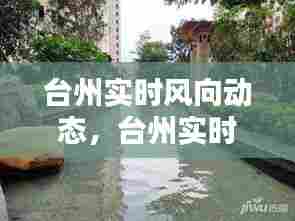 台州实时风向动态,台州实时风向动态图