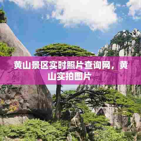 黄山景区实时照片查询网,黄山实拍图片