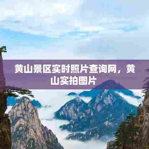 黄山景区实时照片查询网,黄山实拍图片
