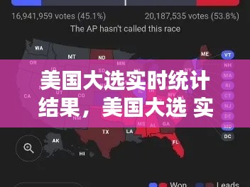 美国大选实时统计结果,美国大选 实时数据