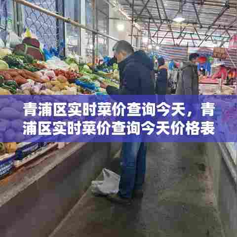 青浦区实时菜价查询今天,青浦区实时菜价查询今天价格表