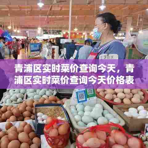 青浦区实时菜价查询今天,青浦区实时菜价查询今天价格表