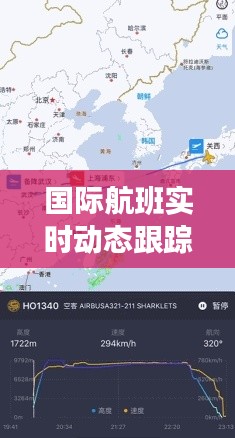 国际航班实时动态跟踪查询，国际航班实时动态跟踪查询软件 