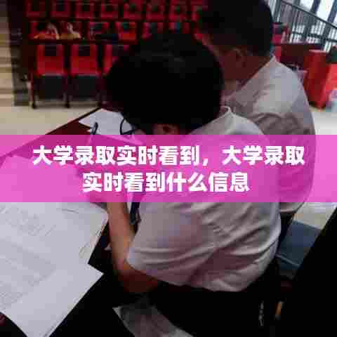 大学录取实时看到，大学录取实时看到什么信息 