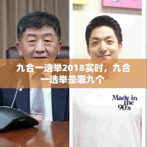 九合一选举2018实时,九合一选举是哪九个