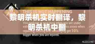 黎明杀机实时翻译,黎明杀机中翻