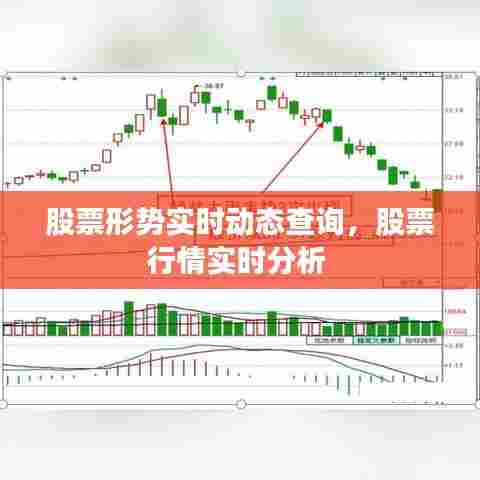 股票形势实时动态查询，股票行情实时分析 
