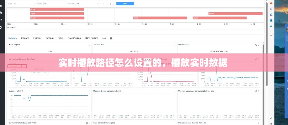 实时播放路径怎么设置的,播放实时数据