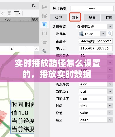 实时播放路径怎么设置的,播放实时数据