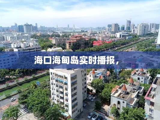 海口海甸岛实时播报,