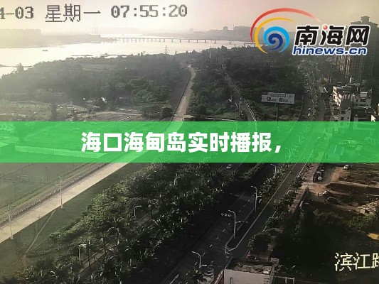 海口海甸岛实时播报,